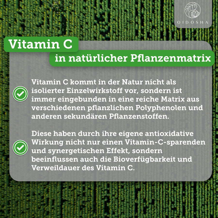 Vitamin C (pflanzlich) aus Bio-Amla-Extrakt im Glas