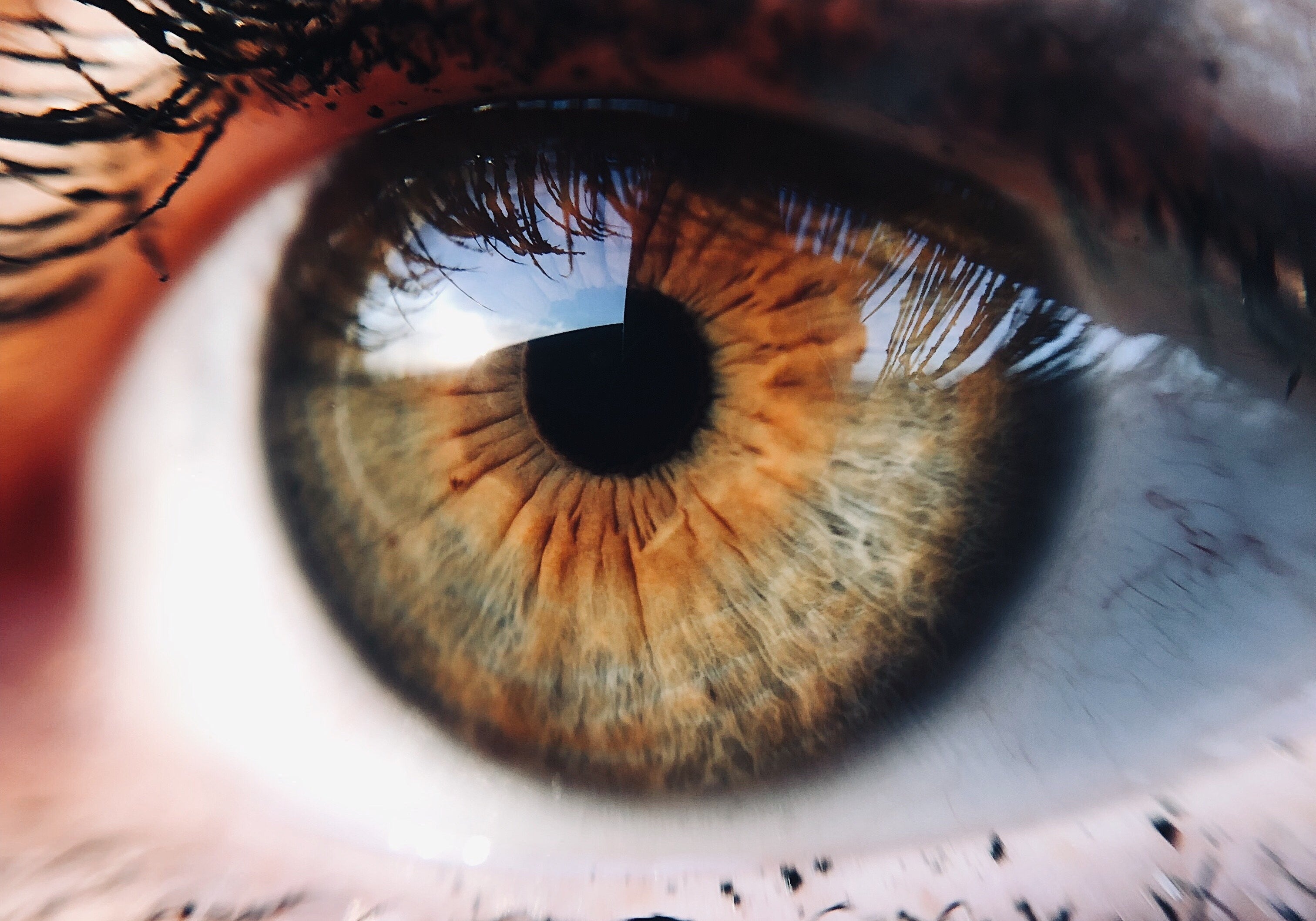 Augenerkrankungen und Mikronährstoffe