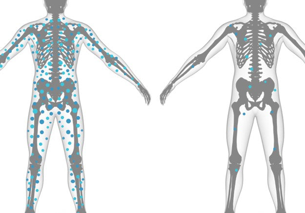 Bioverfügbarkeit Nahrungsergänzungsmittel