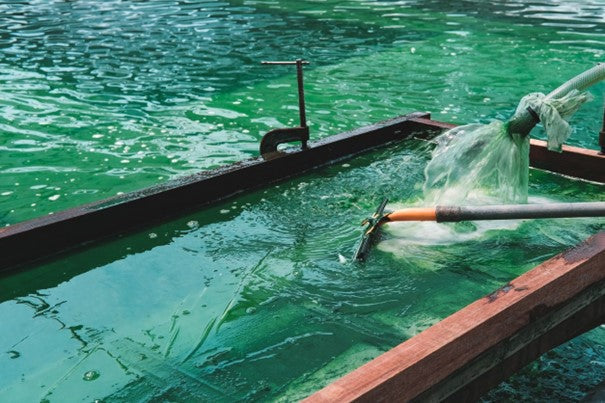 Bio Spirulina