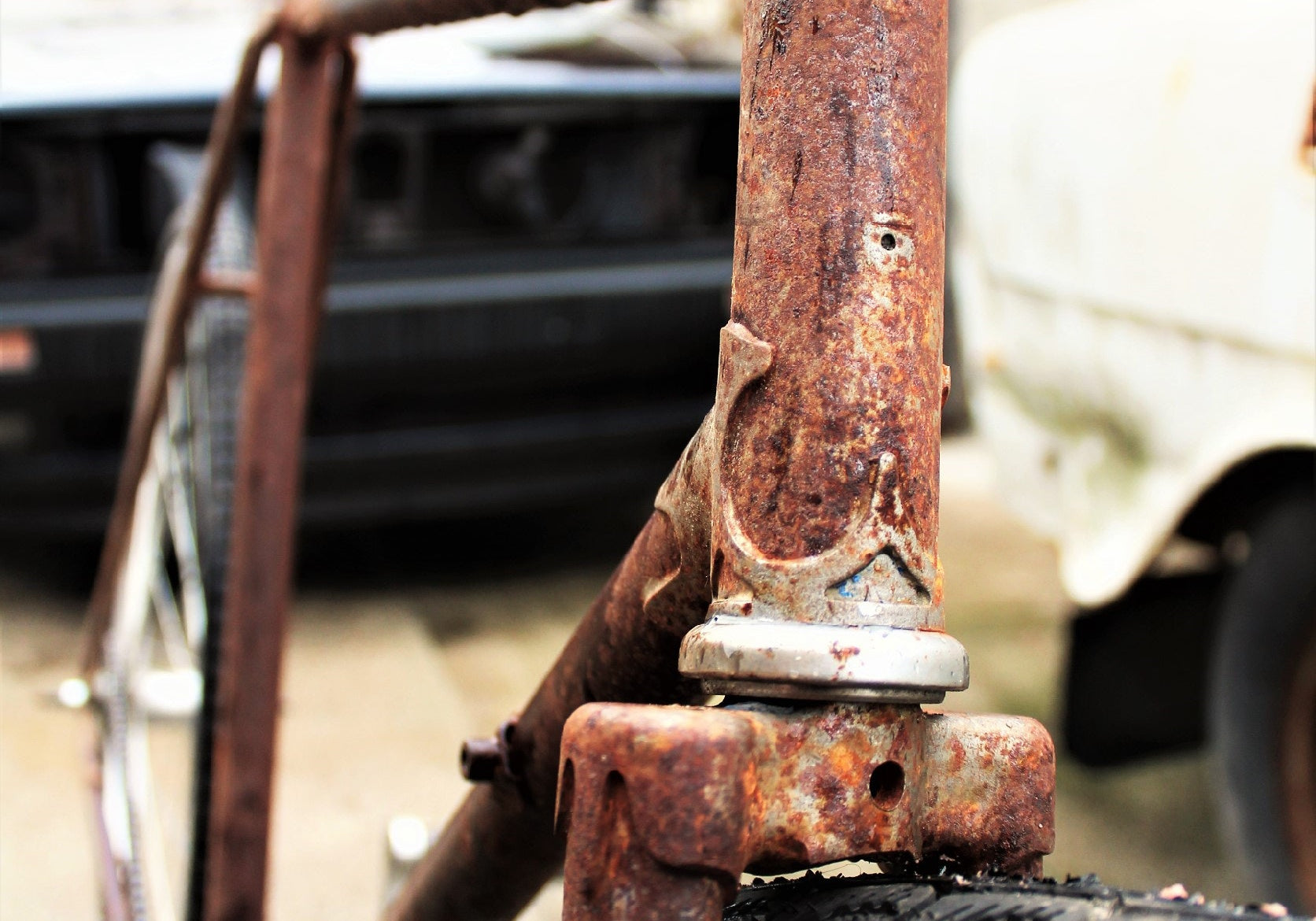 Oxidativer Stress lässt uns schneller rosten... - alles über Antioxidantien und freie Radikale