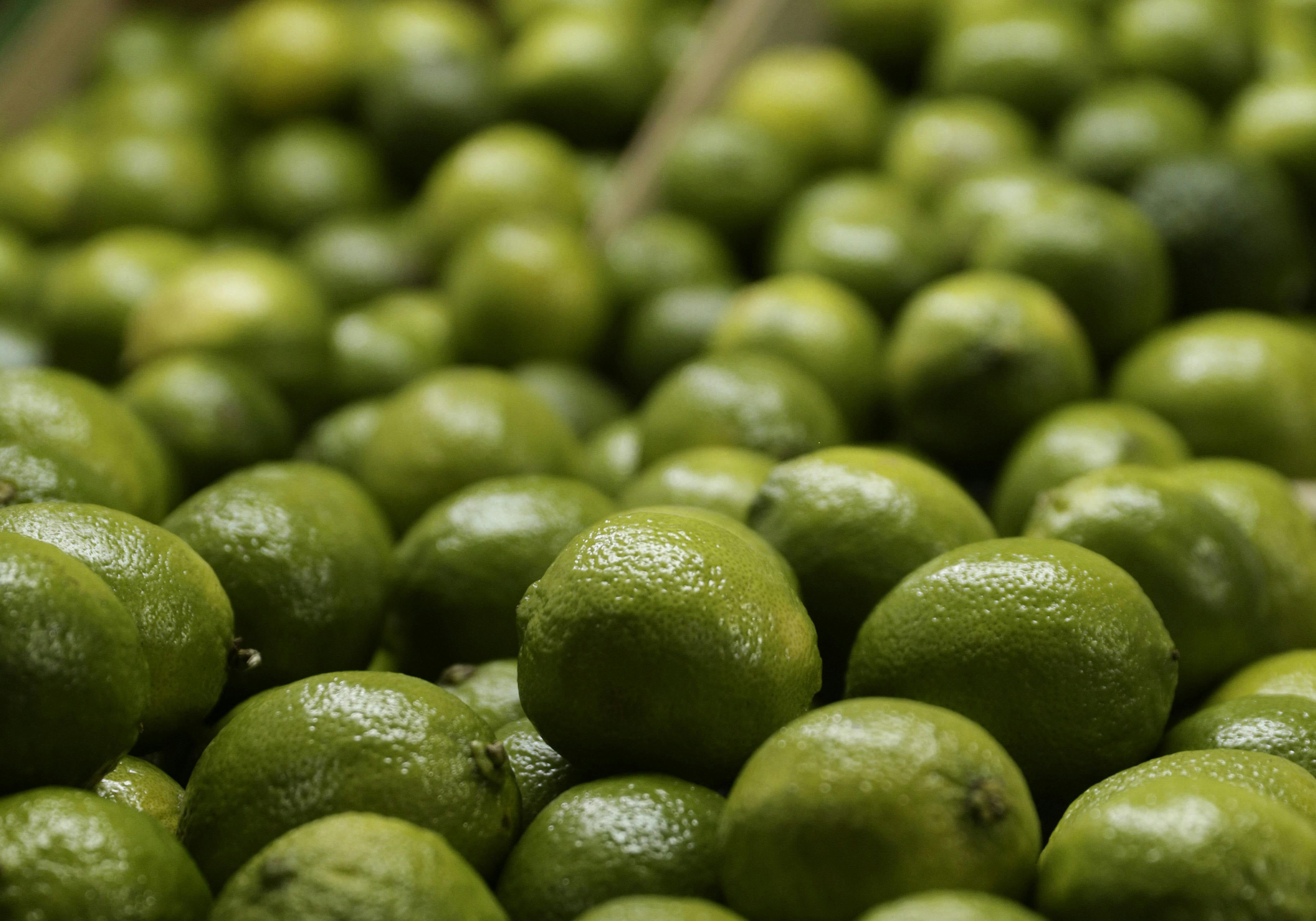 Citrus Bergamot plus Piperin - möglicher therapeutischer Einsatz