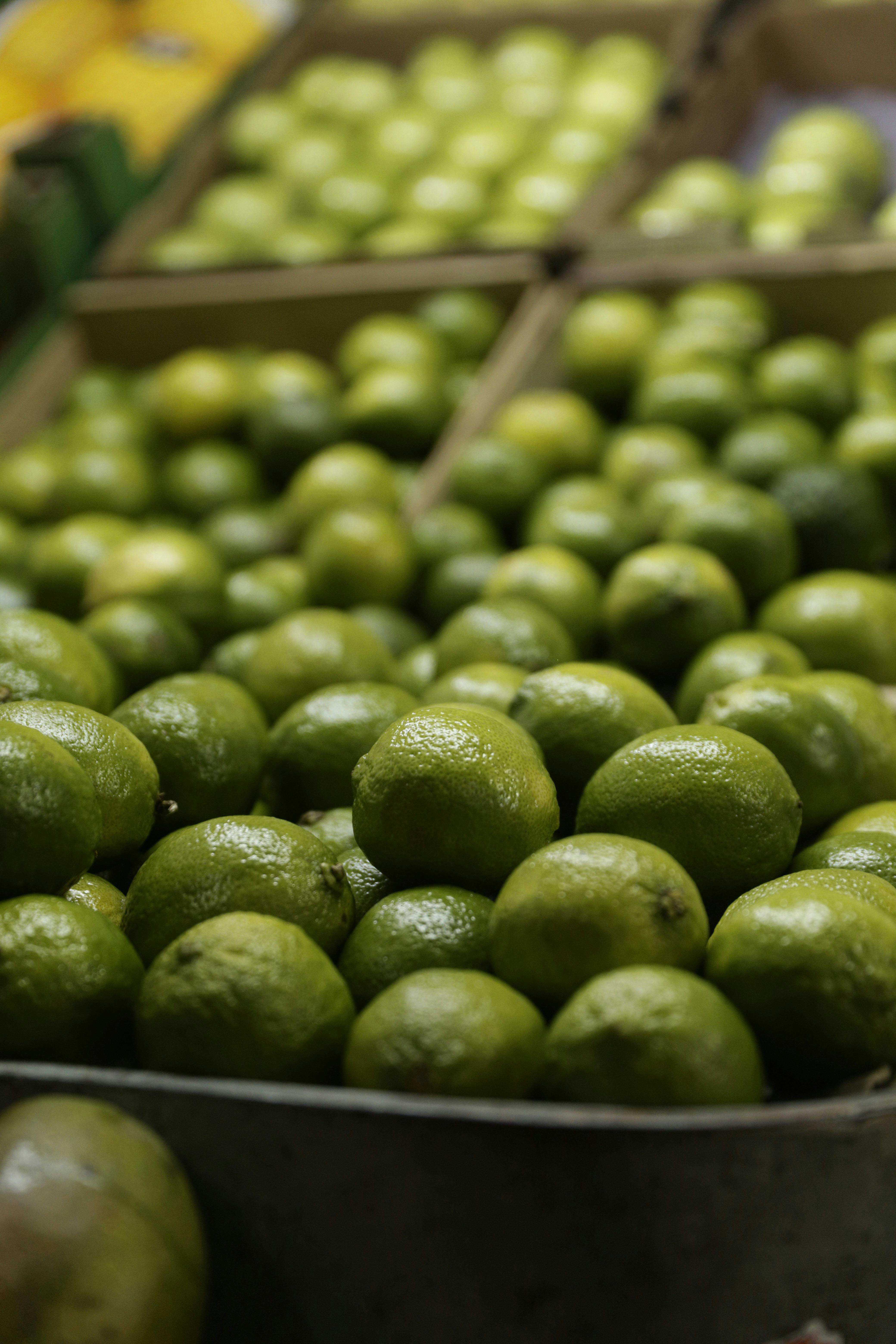 Citrus Bergamot plus Piperin - möglicher therapeutischer Einsatz