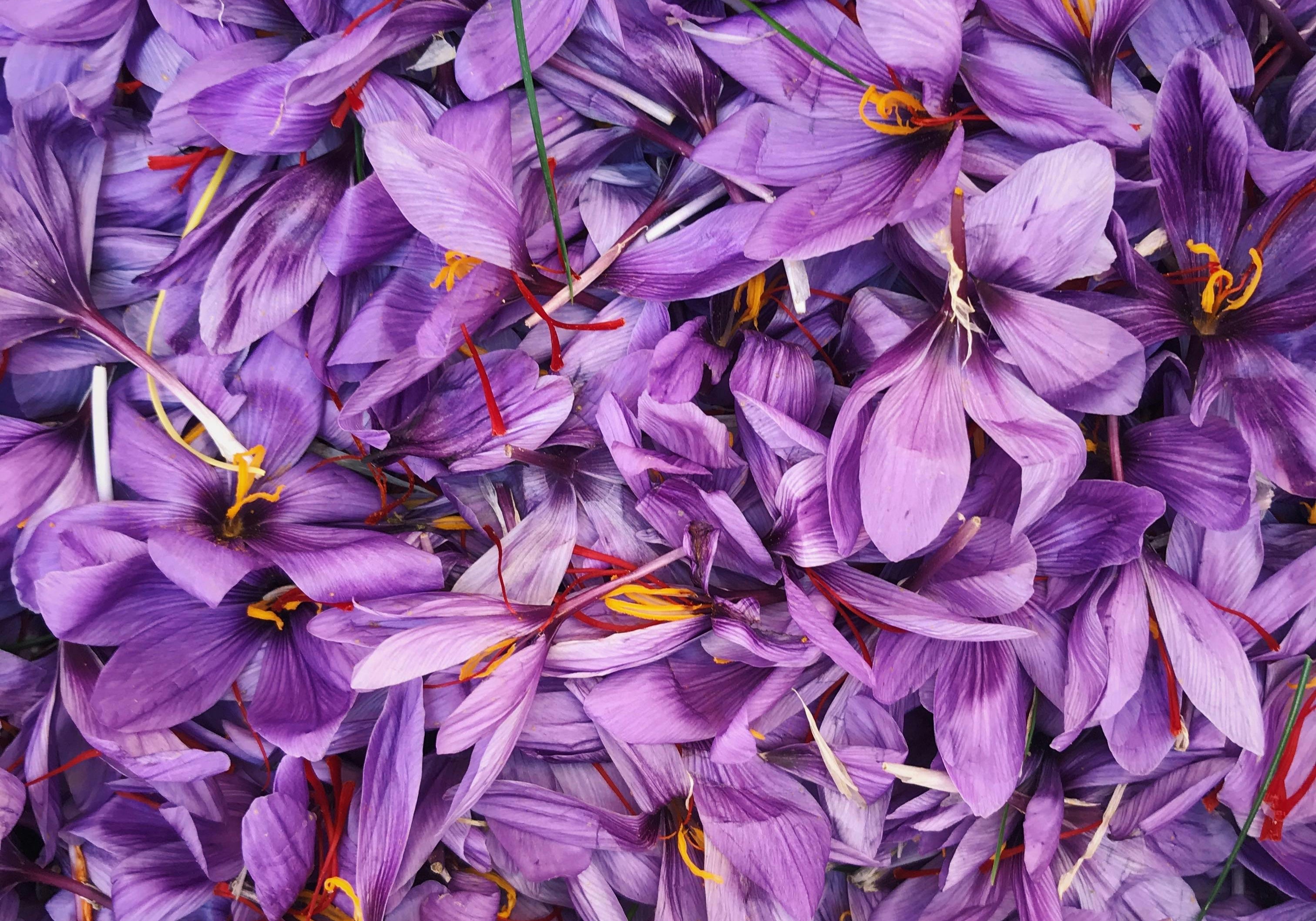 Safran und sein Wirkstoff Safranal - therapeutische Einsatzmöglichkeiten des "roten Goldes"