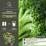 Brokkoli Extrakt mit 13% Sulforaphan: Premium-Kapseln von QIDOSHA, laborgeprüft, ohne Zusatzstoffe, 180 Kapseln im Glas, täglich 2 Kapseln für hohe Qualität.