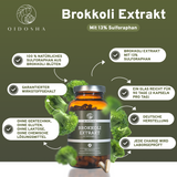 QIDOSHA Brokkoli Extrakt mit 13% Sulforaphan in Premium-Qualität: Amber-Glasflasche mit 180 veganen Kapseln, laborgeprüft und ohne Zusatzstoffe.