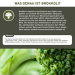 QIDOSHA Brokkoli Extrakt mit 13% Sulforaphan in Premium-Qualität: Amber-Glasflasche mit 180 veganen Kapseln, laborgeprüft und ohne Zusatzstoffe.