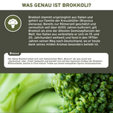 QIDOSHA Brokkoli Extrakt mit 13% Sulforaphan in Premium-Qualität: Amber-Glasflasche mit 180 veganen Kapseln, laborgeprüft und ohne Zusatzstoffe.