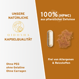 Cognizin® Citicolin Kapseln: Premium, laborgeprüft, vegan, hergestellt in Deutschland. 500mg hochdosiert, ohne Gelatine, allergenfrei, aus pflanzlicher Zellulose. Nachhaltige Glasverpackung.