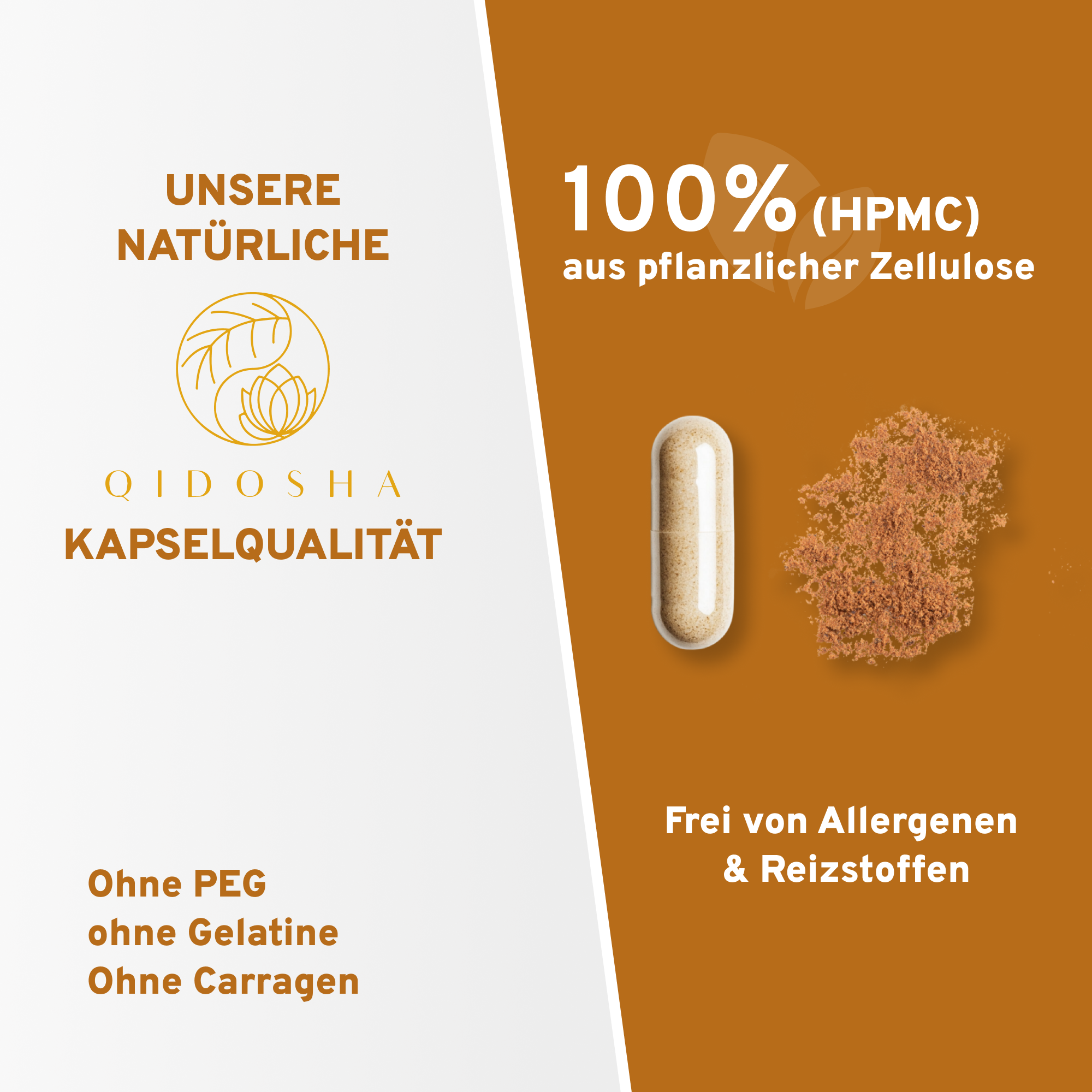 Cognizin® Citicolin Kapseln: Premium, laborgeprüft, vegan, hergestellt in Deutschland. 500mg hochdosiert, ohne Gelatine, allergenfrei, aus pflanzlicher Zellulose. Nachhaltige Glasverpackung.