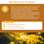 Cognizin® Citicolin-Infografik erläutert, wie Cholin den Fett- und Homocystein-Stoffwechsel sowie die Leberfunktion unterstützt. Premium, laborgeprüft, ohne Füllstoffe, in Deutschland hergestellt.