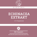 Echinacea Extrakt