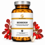 Berberine from barberry extract plus piperine as a bioenhancer