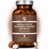 Poria Cocos Extract (Pine Sponge)