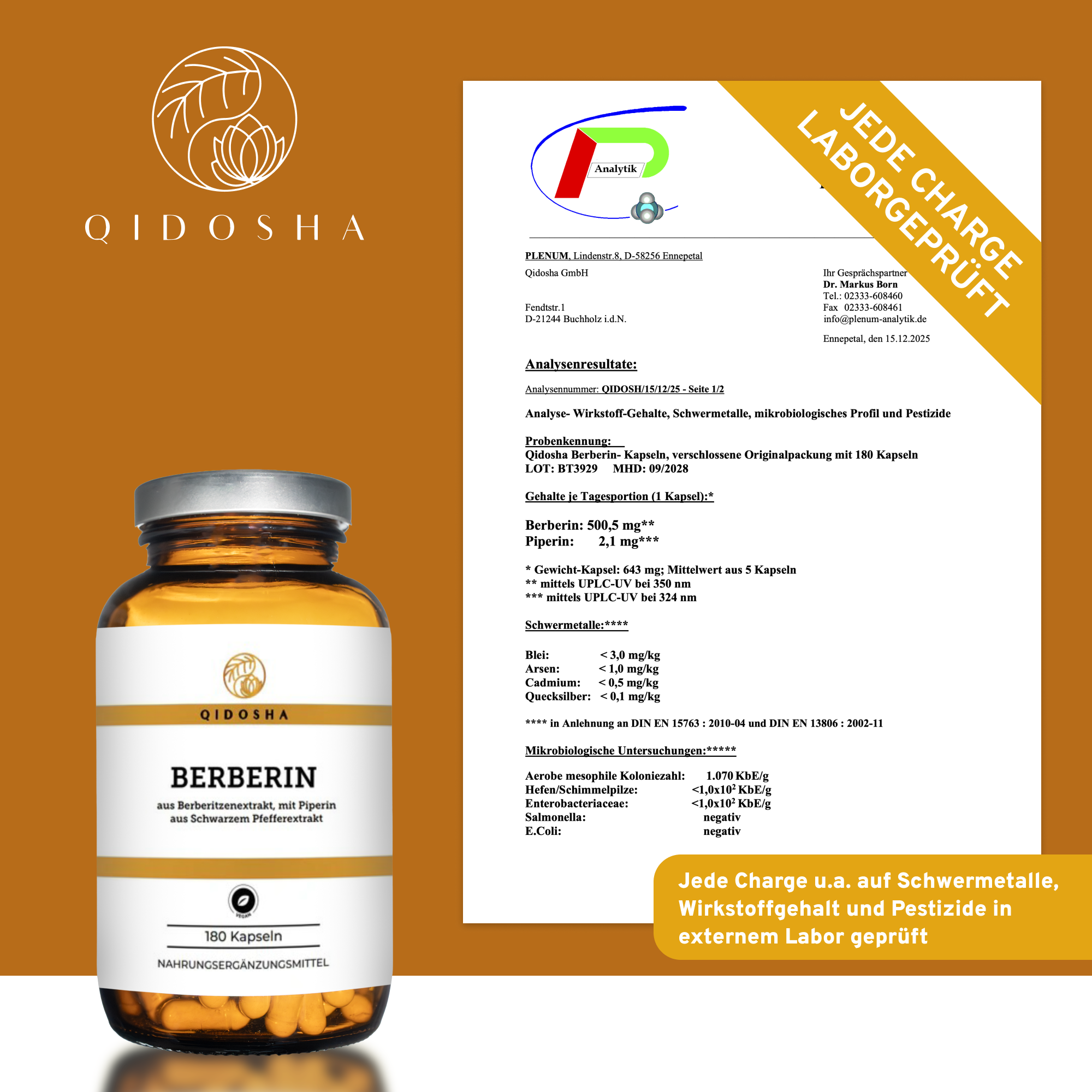 QIDOSHA Premium-Nahrungsergänzungsmittel: Berberin aus Berberitzenextrakt mit Piperin als Bioenhancer. 180 Kapseln, laborgeprüft, ohne Füllstoffe, in nachhaltigem Glas.