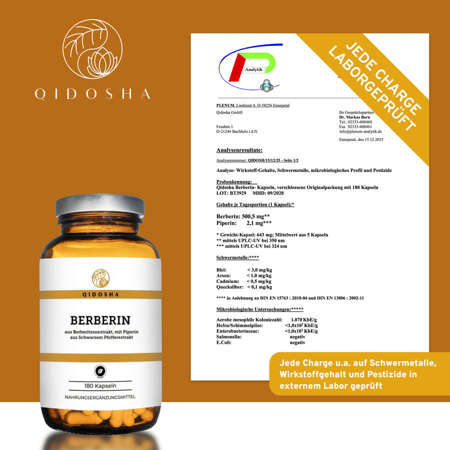 QIDOSHA Premium-Nahrungsergänzungsmittel: Berberin aus Berberitzenextrakt mit Piperin als Bioenhancer. 180 Kapseln, laborgeprüft, ohne Füllstoffe, in nachhaltigem Glas.