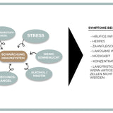 IMMUNE BOOSTER - pachet avantaj al sistemului imunitar