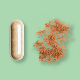 L-Theanin & EGCG aus Grüntee-Extrakt in pflanzlichen Kapseln, laborgeprüft, ohne Gelatine, PEG, Carrageen, Allergene oder Reizstoffe. Premium-Nahrungsergänzung, true clean label, vegan.