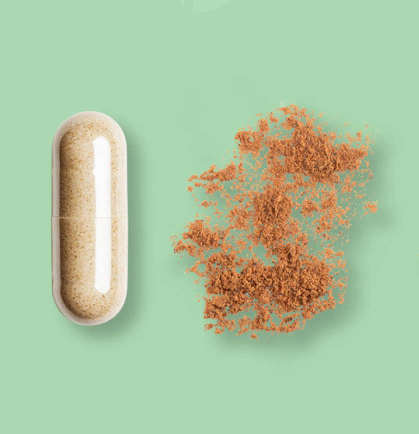 L-Theanin & EGCG aus Grüntee-Extrakt in pflanzlichen Kapseln, laborgeprüft, ohne Gelatine, PEG, Carrageen, Allergene oder Reizstoffe. Premium-Nahrungsergänzung, true clean label, vegan.