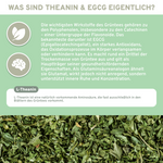 Infografik zu L-Theanin & EGCG aus Grüntee-Extrakt, erklärt deren antioxidative Eigenschaften und stressmindernde Wirkung. Premium, ohne Zusatzstoffe, laborgeprüft, nachhaltige Produktion.