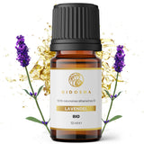 Aromatherapy “Calm & Relaxation”