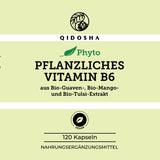 Pflanzliches Vitamin B6 aus Bio-Guave, Bio-Mango und Bio-Tulsi, 120 vegane Kapseln. Premium, laborgeprüfte Qualität ohne Zusatzstoffe, ab Dezember 2025 verfügbar.