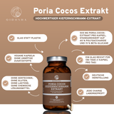 Poria Cocos Kiefernschwamm Extrakt