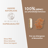Poria Cocos Kiefernschwamm Extrakt