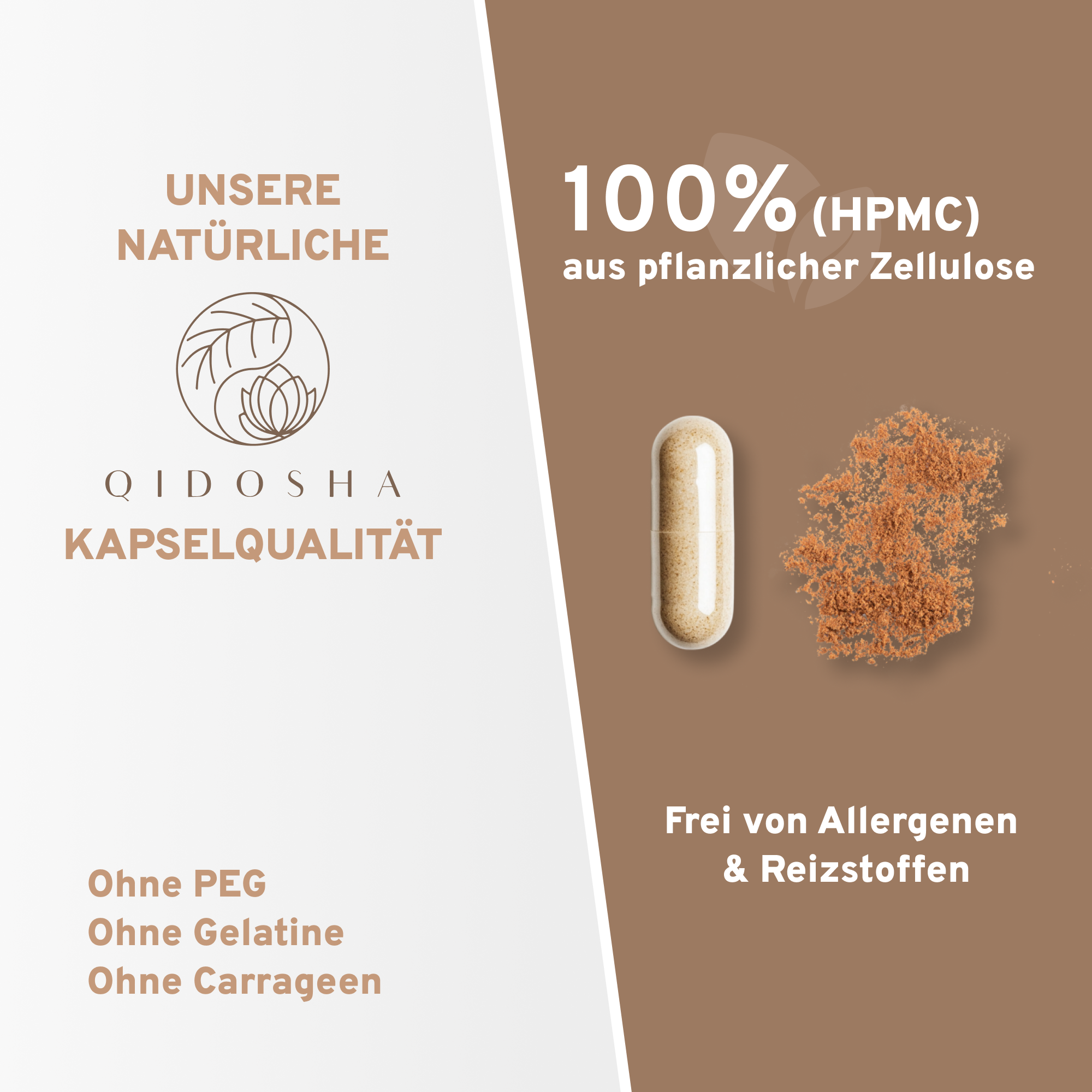 Poria Cocos Kiefernschwamm Extrakt