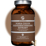 Poria Cocos Kiefernschwamm Extrakt