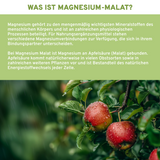 Magnesium Malat an Apfelsäure gebunden 300 mg Magnesium pro Tagesportion