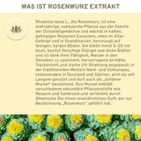 Rosenwurz (Rhodiola Rosea) Extrakt Kapseln: Premium, hochdosierte, laborgeprüfte Qualität aus Wildsammlung, garantiert ohne Füllstoffe. Ideal für Vitalität und Wohlbefinden. Vegan und in Glas verpackt.