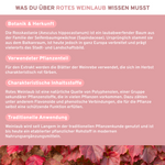 Rosskastanie, Rotes Weinlaub, Acerola: Premium-Kapseln mit pflanzlichen Extrakten und natürlichem Vitamin C, laborgeprüft und ohne Füllstoffe, in nachhaltigem Glas verpackt.