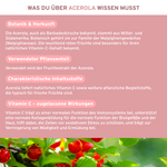 Rosskastanie, Rotes Weinlaub, Acerola Kapseln: Premium-Nahrungsergänzung mit Vitamin C, Polyphenolen und Aescin. Laborgeprüfte Qualität, ohne Zusatzstoffe, in nachhaltigem Glas verpackt.