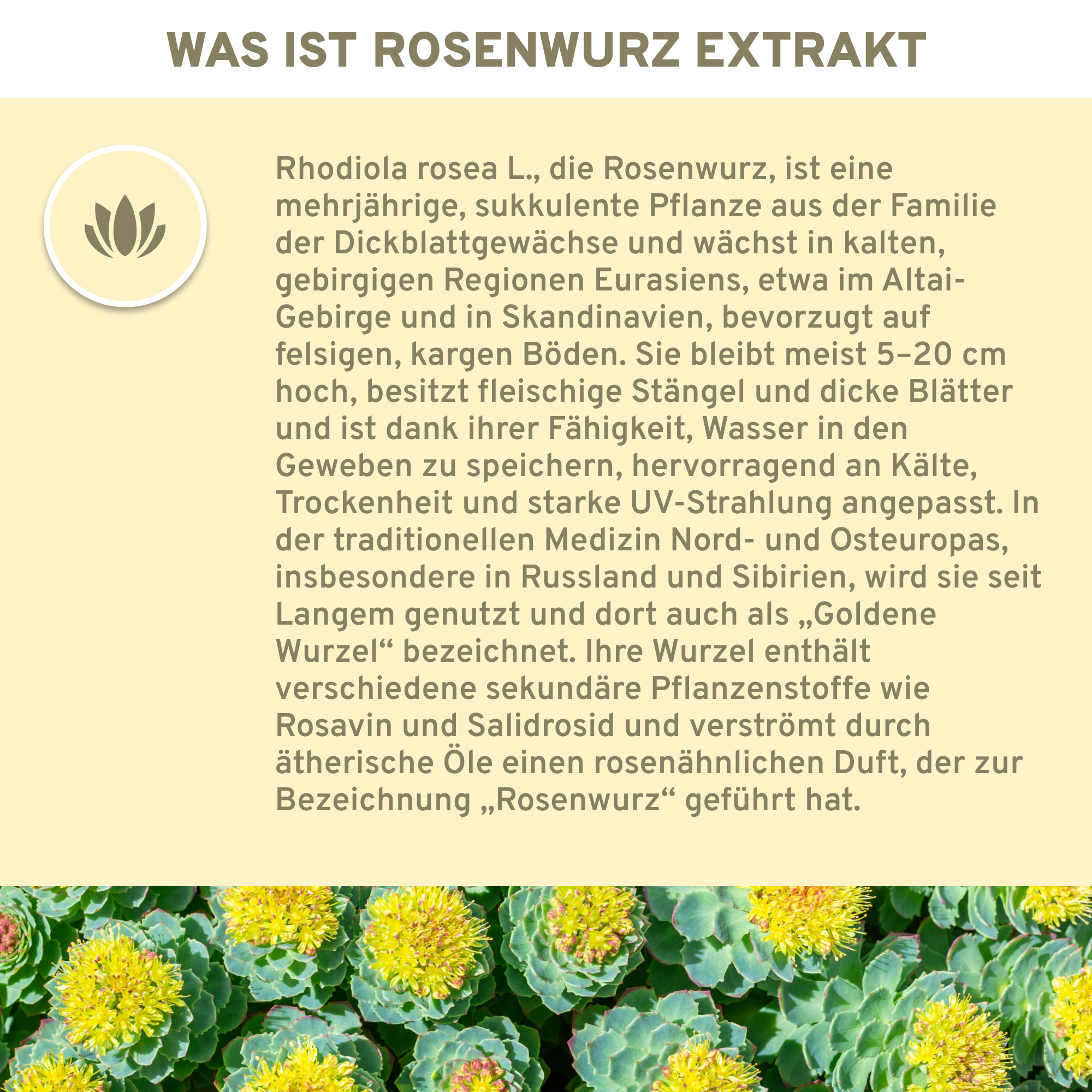 Увеличение