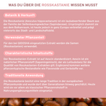 Rosskastanie, Rotes Weinlaub, Acerola-Komplex Infografik: Hochwertige, laborgeprüfte Rosskastanien-Extrakte mit Aescin, kombiniert mit Polyphenolen aus Weinlaub und Acerola-Vitamin C für Premium-Nahrungsergänzung.