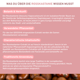 Rosskastanie, Rotes Weinlaub, Acerola-Komplex Infografik: Hochwertige, laborgeprüfte Rosskastanien-Extrakte mit Aescin, kombiniert mit Polyphenolen aus Weinlaub und Acerola-Vitamin C für Premium-Nahrungsergänzung.