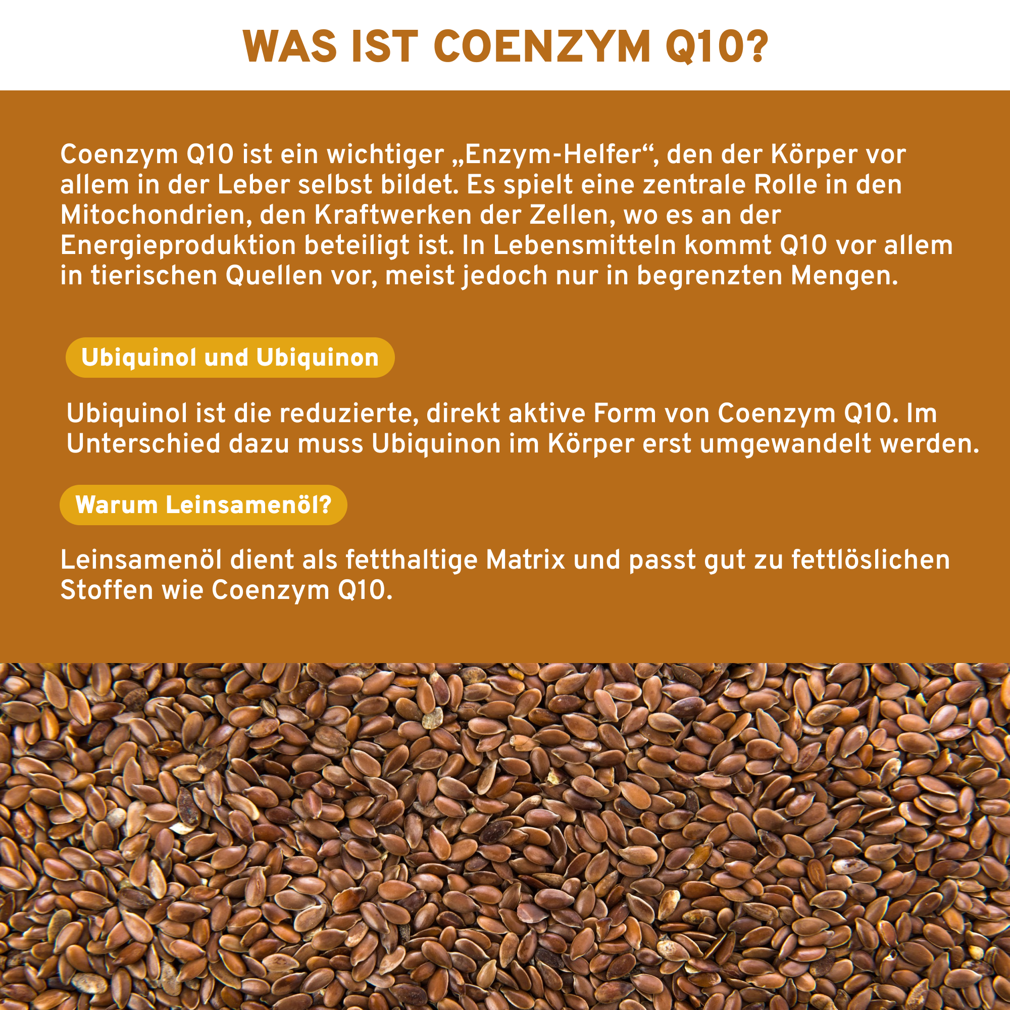 Coenzym Q10 170mg mit Leinsamenöl Softgel-Kapseln: Premium, laborgeprüfte Qualität, vegan, ohne Zusatzstoffe, optimale Bioverfügbarkeit durch Leinsamenöl, hergestellt in Deutschland.