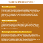 Cistus Incanus (Zistrose) Extrakt in Premium-Qualität; laborgeprüft, ohne Füllstoffe, vegan, in nachhaltigem Glas, mit hohem Polyphenolgehalt; hergestellt in Deutschland.