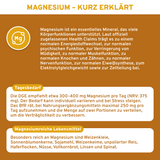 Magnesium-Taurat Kapseln in nachhaltigem Glas, 850mg hochdosiert, ohne Zusatzstoffe, laborgeprüft, für empfindliche Mägen geeignet. Premium-Nahrungsergänzungsmittel von QIDOSHA.