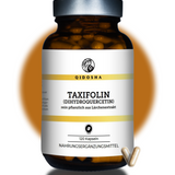 QIDOSHA Taxifolin (Dihydroquercetin) in braunem Glas, 120 vegane Kapseln. Premium-Lärchenextrakt, ohne Zusatzstoffe, laborgeprüft, nachhaltige Verpackung. Hochwertiges Nahrungsergänzungsmittel.