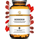 QIDOSHA Premium Berberin aus Berberitzenextrakt plus Piperin als Bioenhancer, 180 vegane Kapseln, hohe Qualität, ohne Füllstoffe, in nachhaltigem Glas.