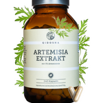 Braunes Glas mit Etikett QIDOSHA ARTEMISIA EXTRAKT, 240 vegane Kapseln, 5% Artemisinin, laborgeprüfte Qualität, ohne Zusatzstoffe, premium Nahrungsergänzungsmittel in nachhaltiger Verpackung.