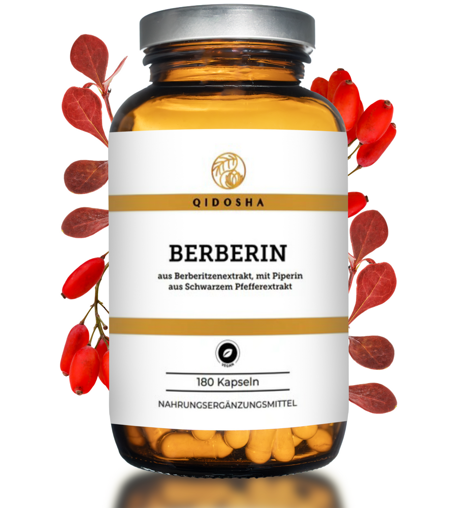 QIDOSHA Premium Berberin aus Berberitzenextrakt plus Piperin als Bioenhancer, 180 vegane Kapseln, hohe Qualität, ohne Füllstoffe, in nachhaltigem Glas.