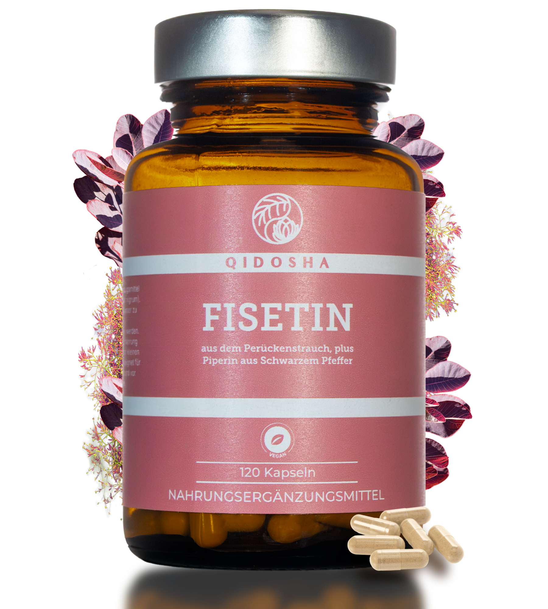 QIDOSHA Fisetin: Premium-Glas mit 120 veganen Kapseln, laborgeprüfte Qualität, ohne Füllstoffe. Enthält Fisetin und Piperin, natürliche pflanzliche Quelle.