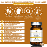 Silbertannen-Extrakt-Kapseln von QIDOSHA: 100% vegan, laborgeprüft, ohne Füllstoffe, in Deutschland hergestellt. Enthält Polyphenole, Lignane. Nachhaltige Glasverpackung. Premium-Nahrungsergänzungsmittel.