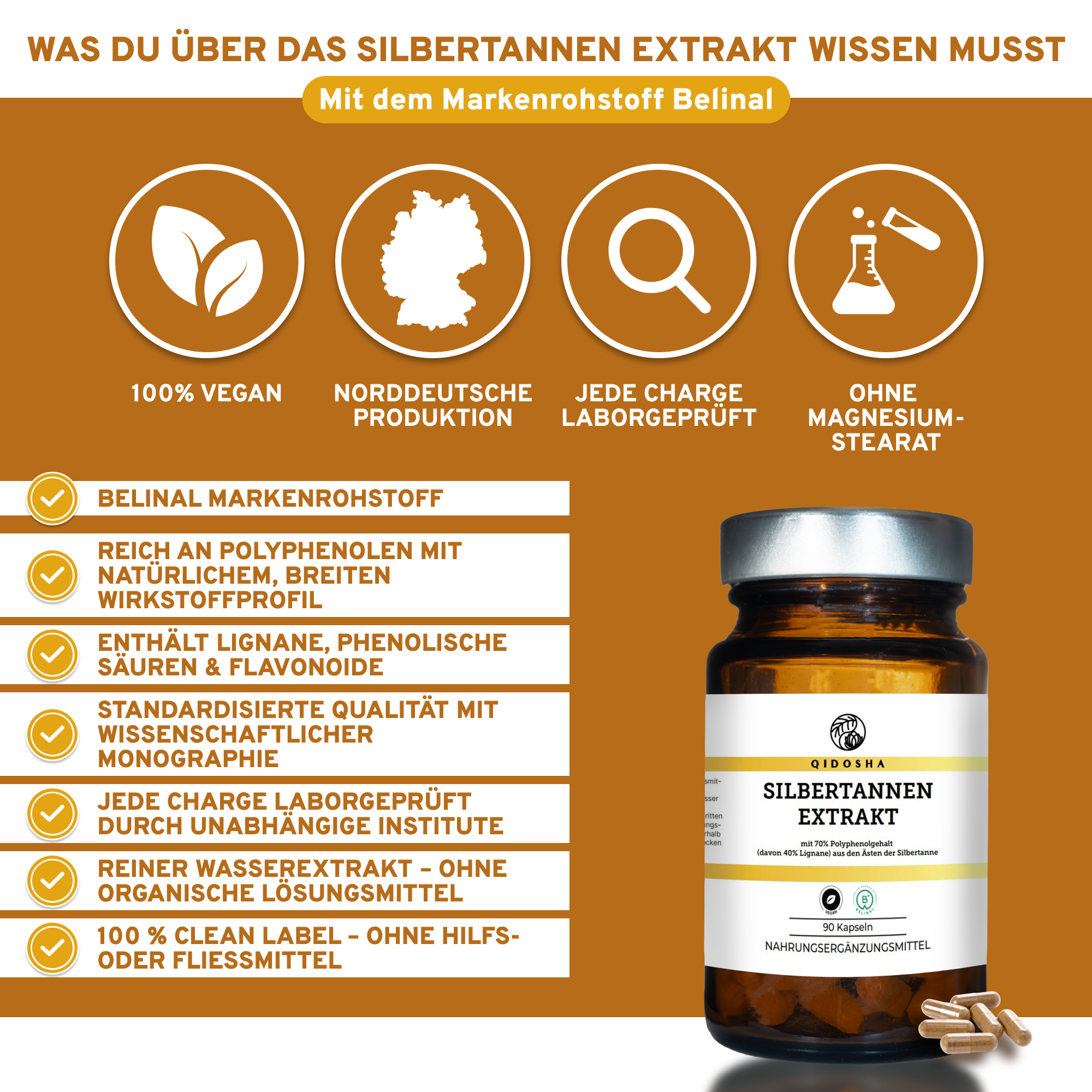 Silbertannen-Extrakt-Kapseln von QIDOSHA: 100% vegan, laborgeprüft, ohne Füllstoffe, in Deutschland hergestellt. Enthält Polyphenole, Lignane. Nachhaltige Glasverpackung. Premium-Nahrungsergänzungsmittel.