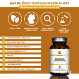 QIDOSHA Taxifolin (Dihydroquercetin): Premium-Nahrungsergänzungsmittel, 100% vegan, laborgeprüft, ohne Füllstoffe, aus Lärchenextrakt, 120 Kapseln in Braunglasflasche.