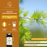 Taxifolin (Dihydroquercetin) von QIDOSHA: Premium-Nahrungsergänzungsmittel, 100 mg pro Kapsel, aus nachhaltiger Lärchenquelle, laborgeprüft, ohne Zusatzstoffe, in umweltfreundlichem Glasbehälter.