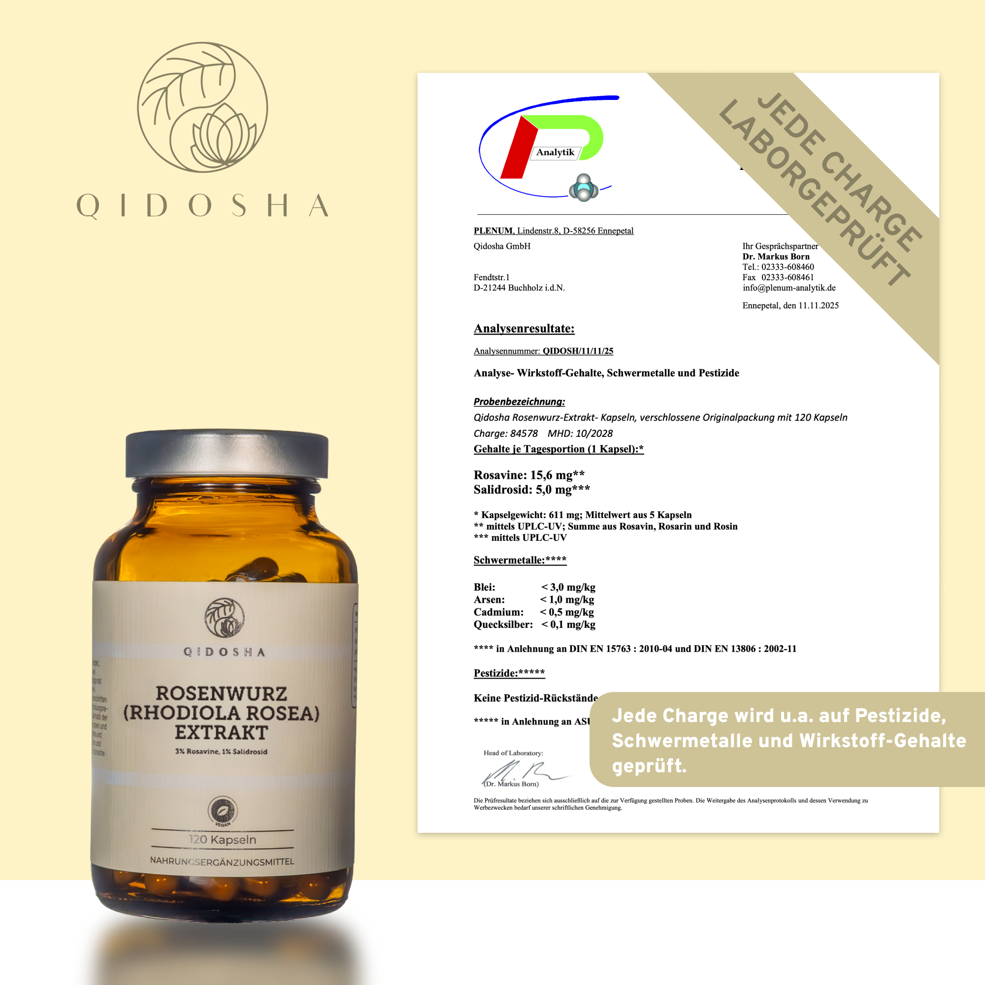 Qidosha Rosenwurz (Rhodiola rosea) Extrakt Kapseln, 120 Stück, laborgeprüft, enthält 3% Rosavine, 1% Salidroside, ohne Füllstoffe, Premium-Qualität, mit Analysezertifikat.